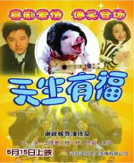 天生有福：一部温暖搞笑的命运喜剧，明星阵容与人生哲理的完美碰撞